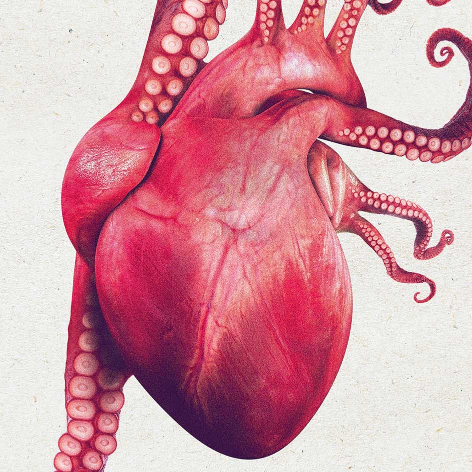 Heartopus